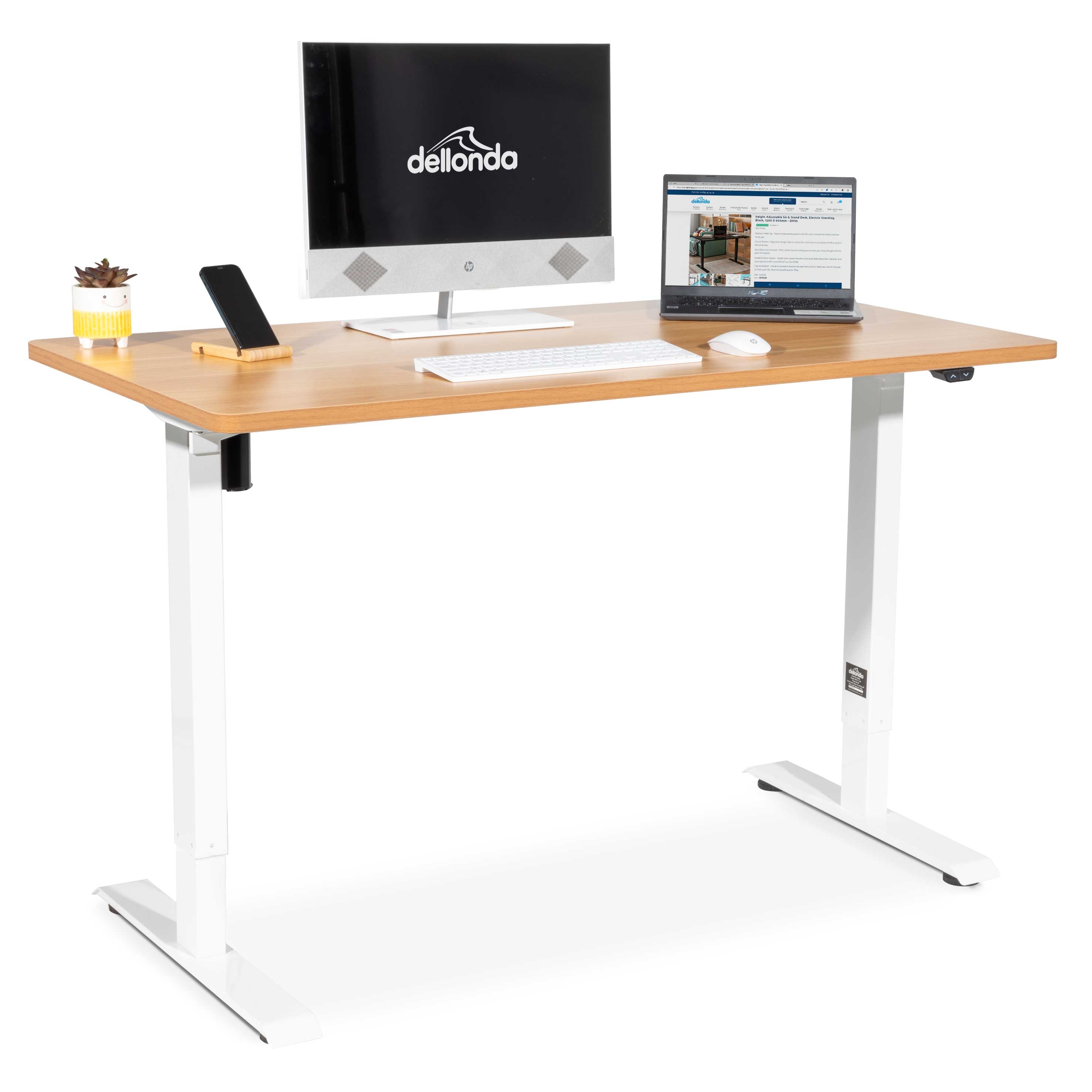 Single Motor Height-Adjustable Electric Sit & Stand Desk with Oak Desktop - DH68